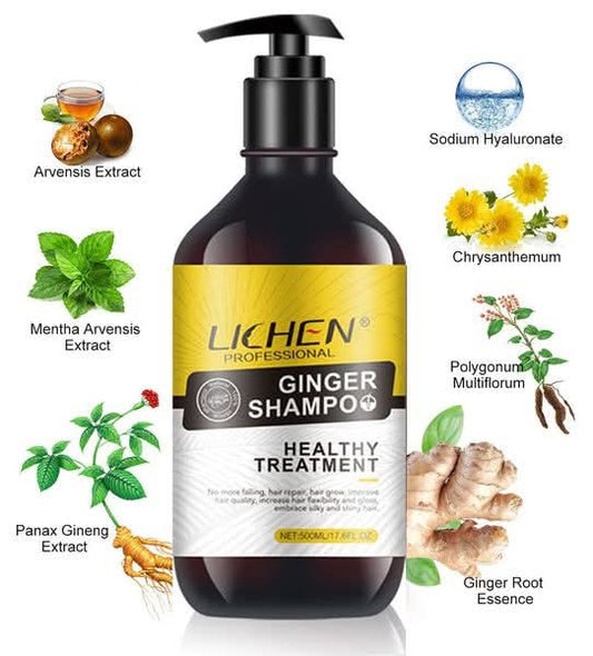 Lichen Ginger Shampoo 500ml